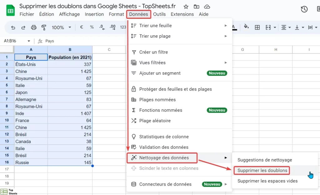 Cliquez sur Données dans le menu, puis sur Nettoyage des données