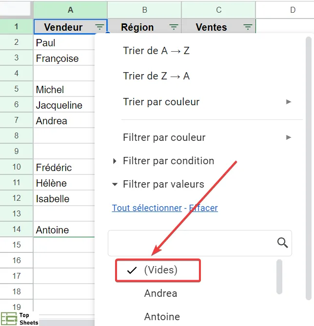 Cliquez sur Vide manuellement