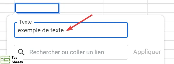 Écrivez le texte que vous voulez afficher dans la cellule