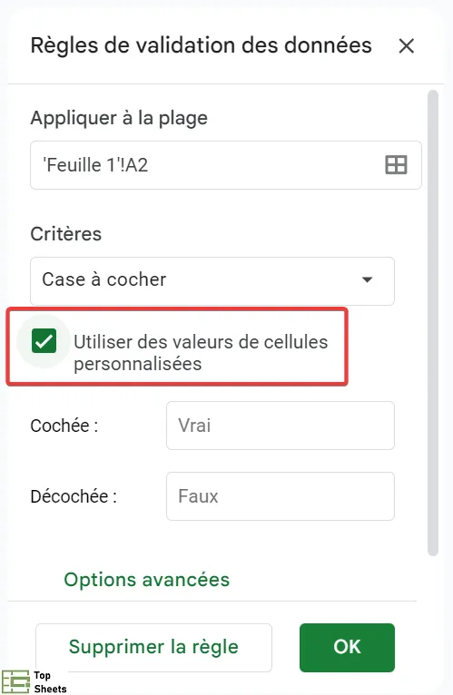 Une capture d'écran qui montre où saisir les valeurs personnalisées dans la validation des données de la case à cocher