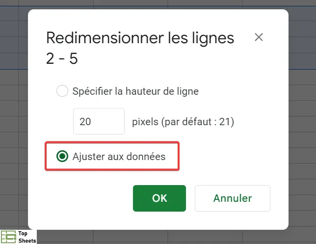 Sélectionnez l'option Ajuster aux données dans Google Sheets