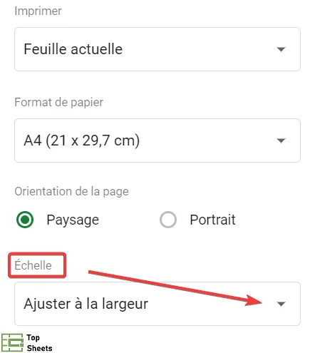 Cliquez sur le champ Échelle