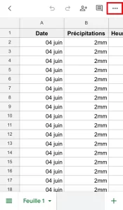 Cliquez sur les 3 points en haut à droite de l’application Sheets