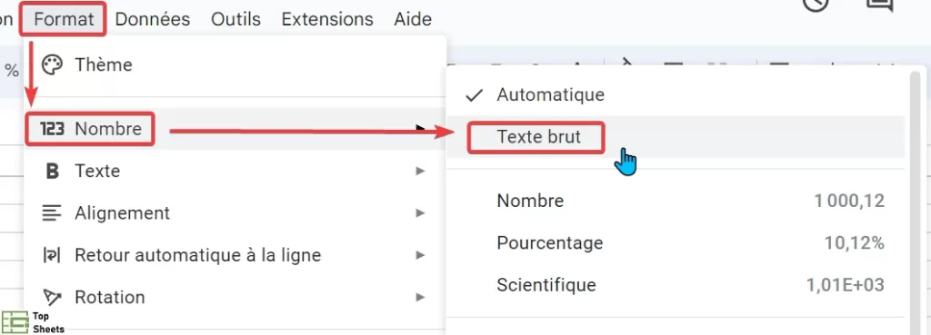 Cliquez sur Nombre puis cliquez sur Texte brut