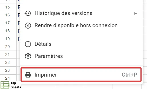 Cliquez sur l'option Imprimer