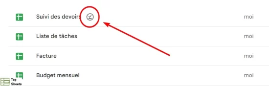 Cet icône indique que le fichier Google Sheets est disponible hors ligne