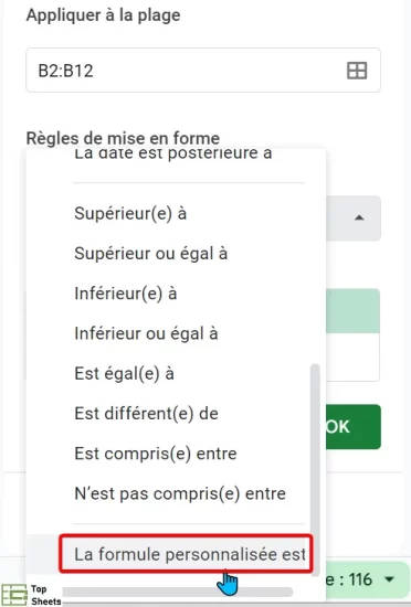 Sélectionnez l'option Le formule personnalisée est