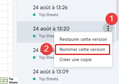 Nommer une version dans Google Sheet